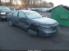 1HGCY1F30RA041251 2024 HONDA ACCORD