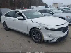 1HGCY1F30RA055361 2024 HONDA ACCORD