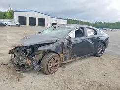 1HGCY1F30RA085105 2024 HONDA ACCORD
