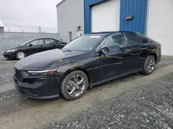 1HGCY1F30RA800075 2024 HONDA ACCORD