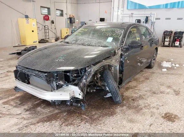 1HGCY1F30RA800187 2024 HONDA ACCORD - Image 2