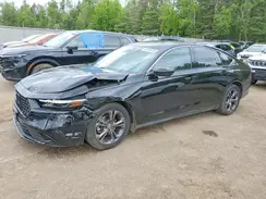 1HGCY1F30RA800898 2024 HONDA ACCORD