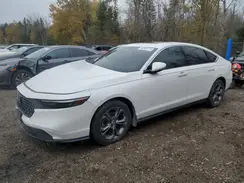 1HGCY1F31PA801703 2023 HONDA ACCORD