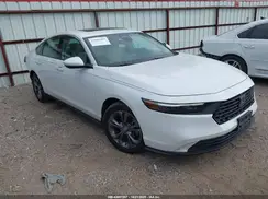 1HGCY1F31RA001910 2024 HONDA ACCORD