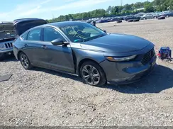1HGCY1F31RA003219 2024 HONDA ACCORD