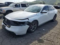 1HGCY1F31RA004340 2024 HONDA ACCORD