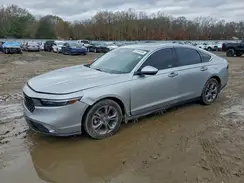 1HGCY1F31RA006492 2024 HONDA ACCORD