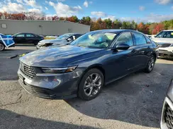 1HGCY1F31RA008257 2024 HONDA ACCORD