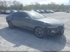 1HGCY1F31RA008260 2024 HONDA ACCORD