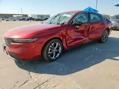 1HGCY1F31RA008288 2024 HONDA ACCORD