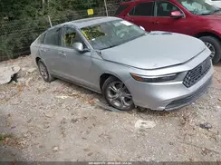 1HGCY1F31RA010574 2024 HONDA ACCORD