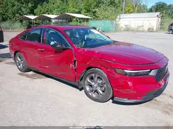 1HGCY1F31RA010784 2024 HONDA ACCORD