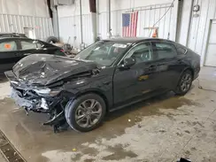 1HGCY1F31RA011062 2024 HONDA ACCORD
