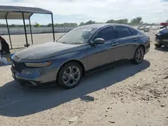 1HGCY1F31RA011319 2024 HONDA ACCORD