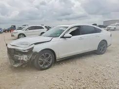 1HGCY1F31RA012759 2024 HONDA ACCORD