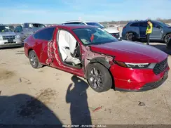 1HGCY1F31RA014656 2024 HONDA ACCORD