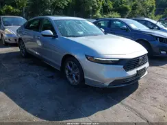 1HGCY1F31RA020246 2024 HONDA ACCORD