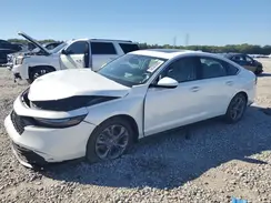 1HGCY1F31RA025351 2024 HONDA ACCORD