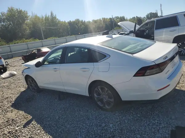 1HGCY1F31RA025351 2024 HONDA ACCORD - Image 2