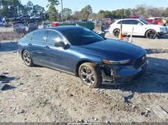 1HGCY1F31RA025981 2024 HONDA ACCORD