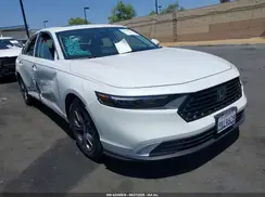 1HGCY1F31RA026516 2024 HONDA ACCORD