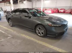 1HGCY1F31RA026709 2024 HONDA ACCORD