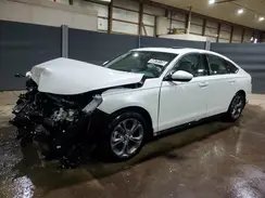 1HGCY1F31RA028802 2024 HONDA ACCORD