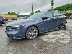 1HGCY1F31RA029836 2024 HONDA ACCORD