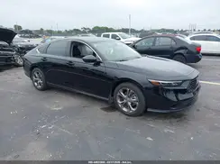 1HGCY1F31RA032705 2024 HONDA ACCORD