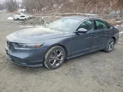 1HGCY1F31RA033062 2024 HONDA ACCORD