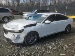 1HGCY1F31RA039413 2024 HONDA ACCORD