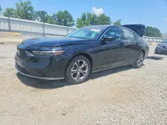 1HGCY1F31RA043591 2024 HONDA ACCORD