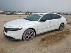 1HGCY1F31RA048404 2024 HONDA ACCORD