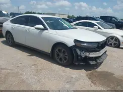 1HGCY1F31RA048502 2024 HONDA ACCORD