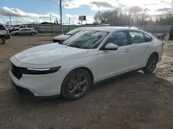 1HGCY1F31RA052873 2024 HONDA ACCORD