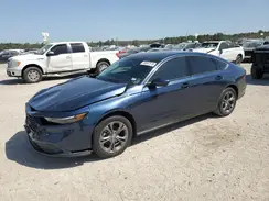 1HGCY1F31RA053599 2024 HONDA ACCORD