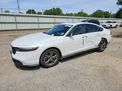 1HGCY1F31RA056342 2024 HONDA ACCORD