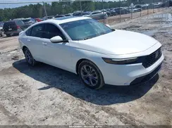 1HGCY1F31RA065087 2024 HONDA ACCORD
