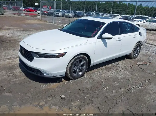 1HGCY1F31RA065087 2024 HONDA ACCORD - Image 2