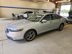 1HGCY1F31RA065686 2024 HONDA ACCORD