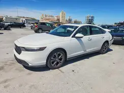 1HGCY1F31RA071018 2024 HONDA ACCORD