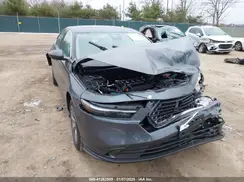 1HGCY1F31RA075280 2024 HONDA ACCORD