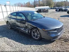 1HGCY1F31RA083654 2024 HONDA ACCORD
