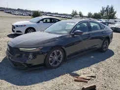 1HGCY1F32PA048019 2023 HONDA ACCORD