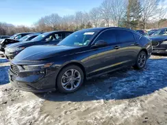 1HGCY1F32RA004864 2024 HONDA ACCORD