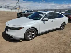1HGCY1F32RA013290 2024 HONDA ACCORD
