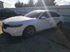 1HGCY1F32RA036519 2024 HONDA ACCORD