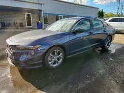 1HGCY1F32RA066426 2024 HONDA ACCORD