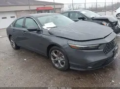 1HGCY1F32RA069083 2024 HONDA ACCORD