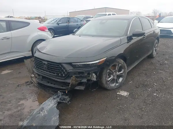 1HGCY1F32RA800076 2024 HONDA ACCORD - Image 2